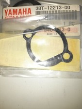 Guarnizione tendicatena