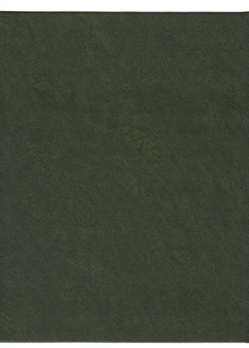 Collezione soldatini piombo - soldatini,