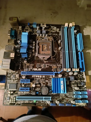 Scheda madre asus - scheda, p7p