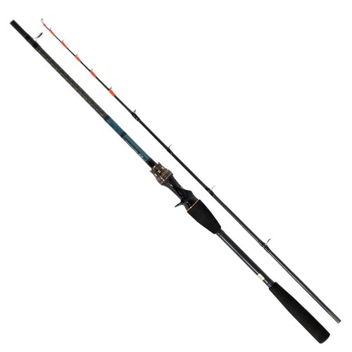 Canna pesca daiwa - canna, da