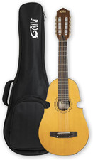 10 String Electric Acoustic
