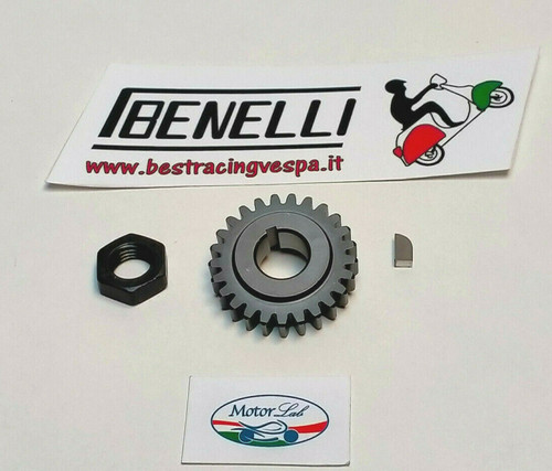 Pignone dado per 27 69 - z,