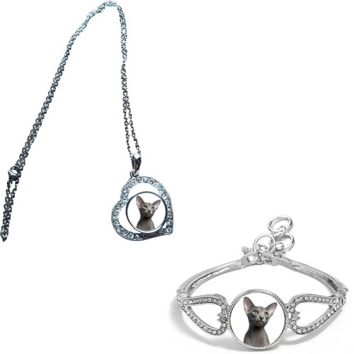 Set oriental cat pet - of,