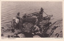 * GROENLANDIA - Pesca "Angmagssat"