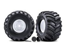 Pneumatico Traxxas Terra