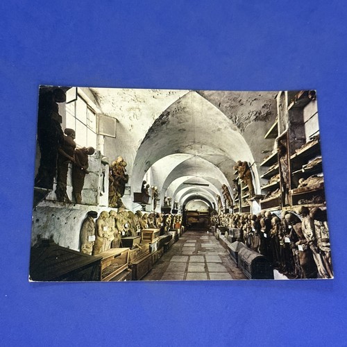 Palermo catacombe dei - palermo,
