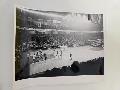 Basket innocenti milano - innocenti,