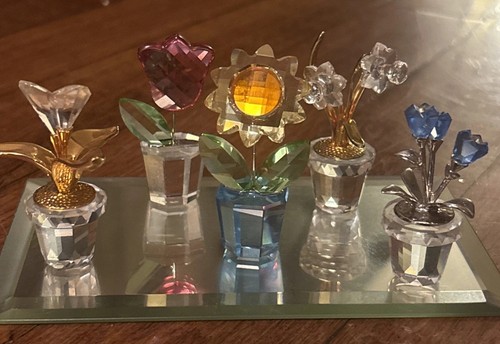 Collezione ricordi fiori