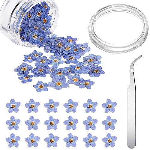 Blulu fiori secchi - secchi, ti