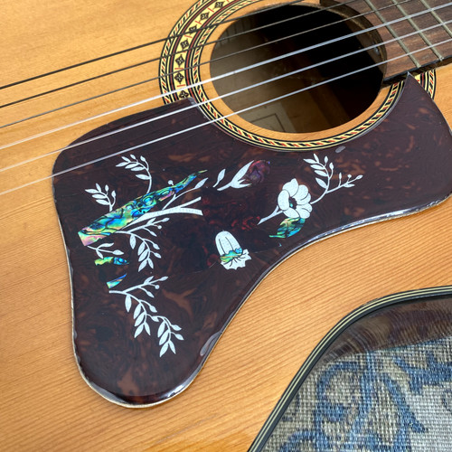 Chitarra acustica deluxe - chitarra,
