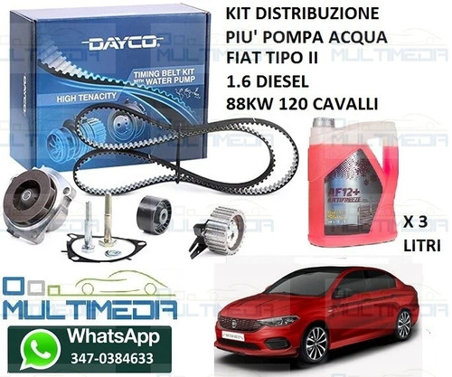 Kit distribuzione pompa - kit,
