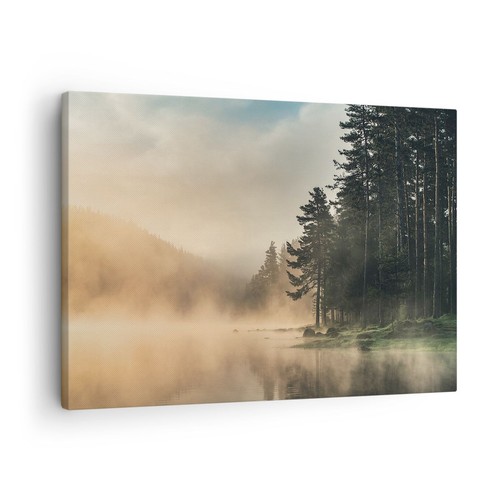 Quadro tela 70x50cm - 70x50cm, nebbia