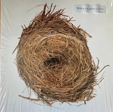 Wilco A Ghost Is Born Nonesuch