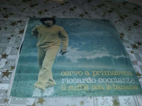 Giri disco vinile - disco,