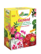 Concime per gerani - gerani, e