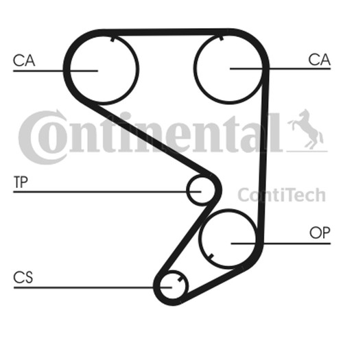 Cinghia distribuzione - cinghia,