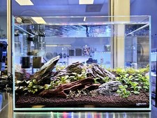 Acquari in vetro ferro ultra