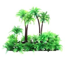 Pianta di Palma da Cocco