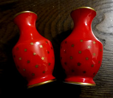 RICHARD GINORI 2 piccoli