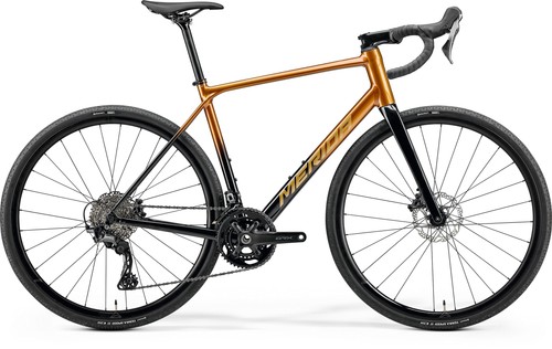 Bici corsa merida scultura - bici,