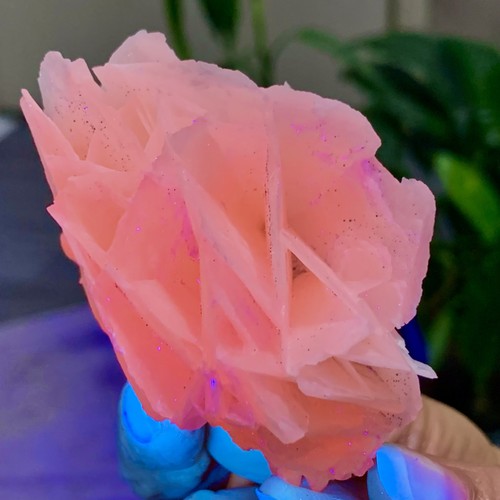 108g petalo calcite cristallo - petalo,