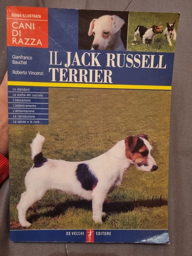 Jack russell terrier cani - il,