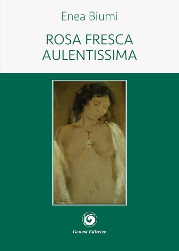 Rosa fresca aulentissima - ,