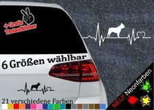 Bulldog francese battito