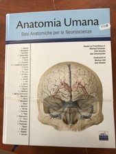 AA.VV-KIT ANATOMIA UMANA