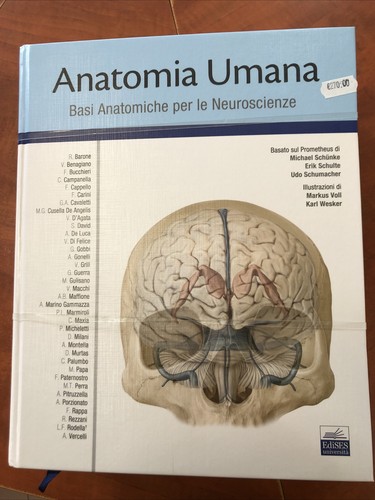 Kit anatomia umana - aa.vv-kit,