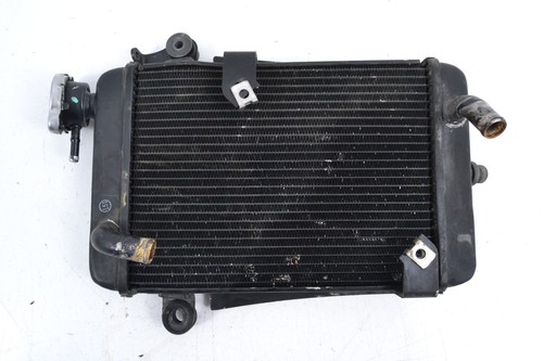 Radiatore acqua honda 300 - honda, sh