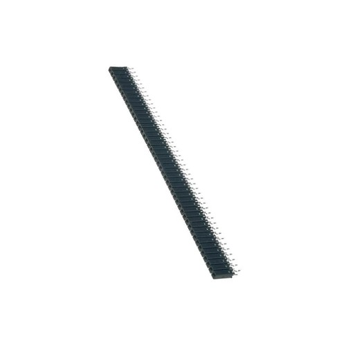 254 z perno femmina - bl,