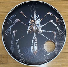 TOOL Fear Inoculum 2019 Evans