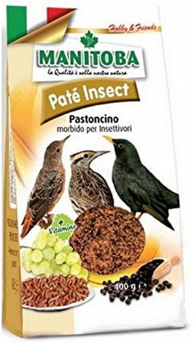 Manitoba patè insect - manitoba,