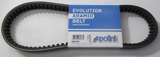 POLINI 248.091 Drive belt