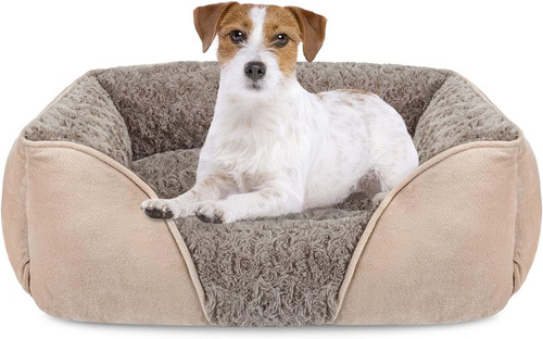 Cuccia cane interno taglia - cuccia,