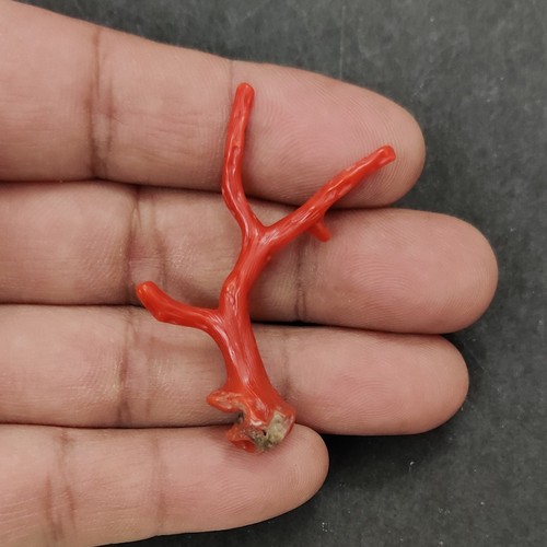 Ramo corallo rosso naturale - ramo,