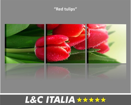 Red tulips quadri moderni - tulips,