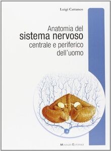 Anatomia del sistema nervoso
