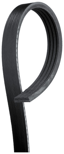Cinghia trapezoidale per