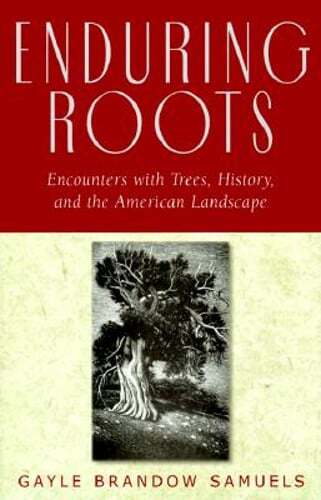 Enduring roots encounters - enduring,