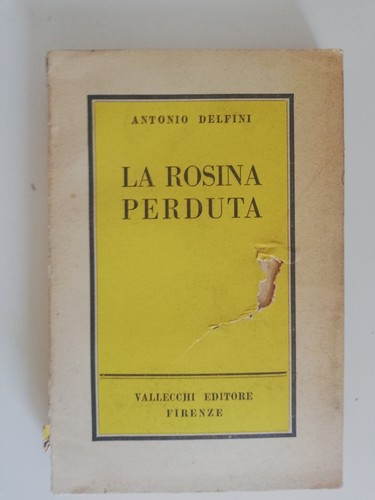 Antonio delfini rosina - delfini,