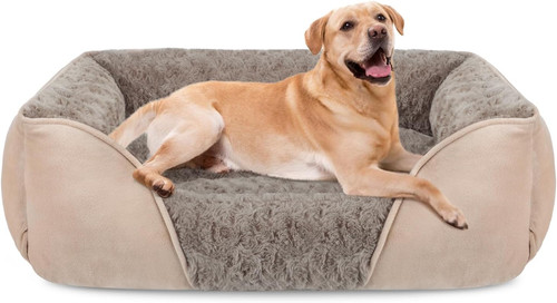 Cuccia cane interno taglia - cuccia,