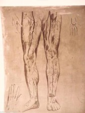 lastra matrice zinco litografie corpo umano modello anatomico 2 skull vintage