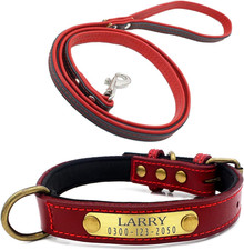 Collare E Guinzaglio Imbottito