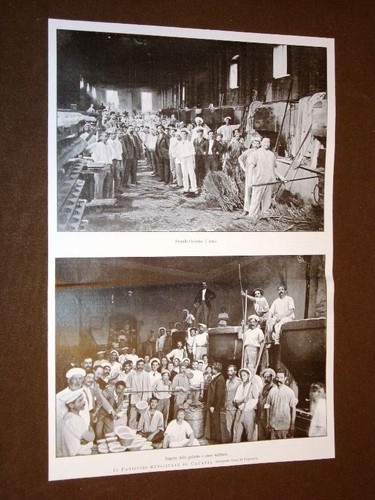 Catania nel 1904 panificio - catania,