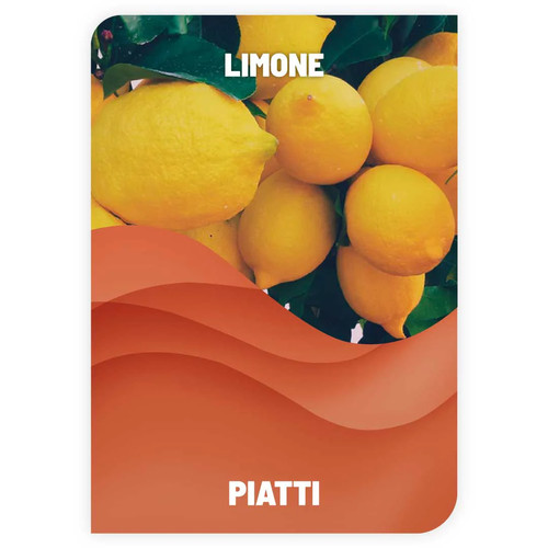 Lavapiatti limone - lavapiatti,