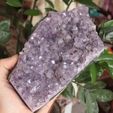 DRUSA AMETISTA Altissima