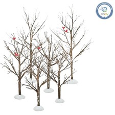 Affascinante Set di Accessori