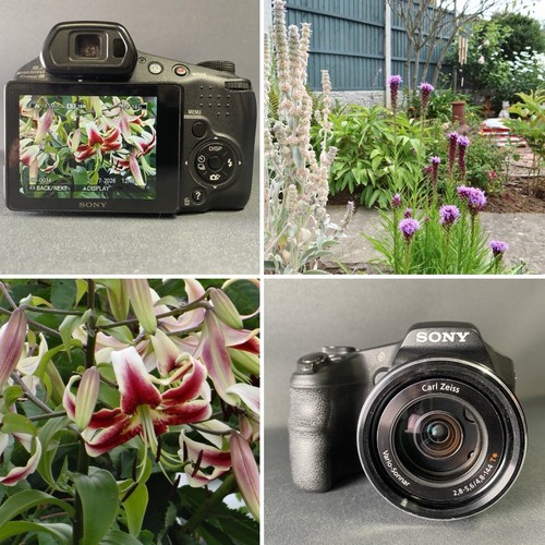 Sony cyber shot - sony, dsc-hx200v